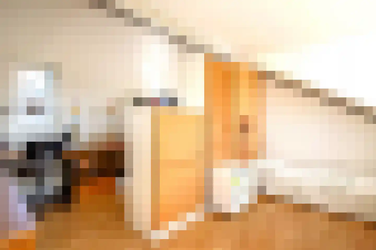 Boterzwin 4523 Julianadorp thumbnail 28