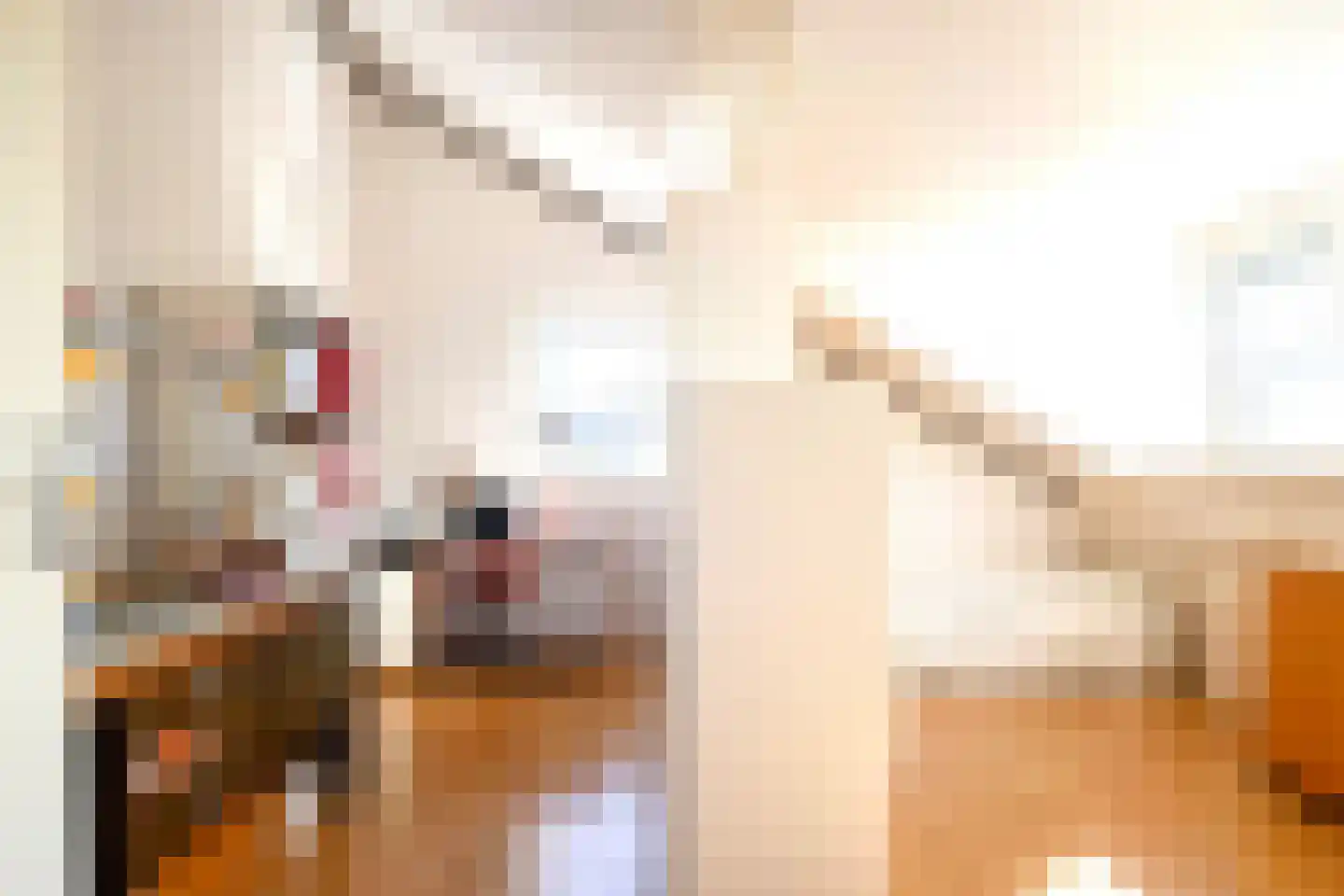 Boterzwin 4523 Julianadorp thumbnail 29