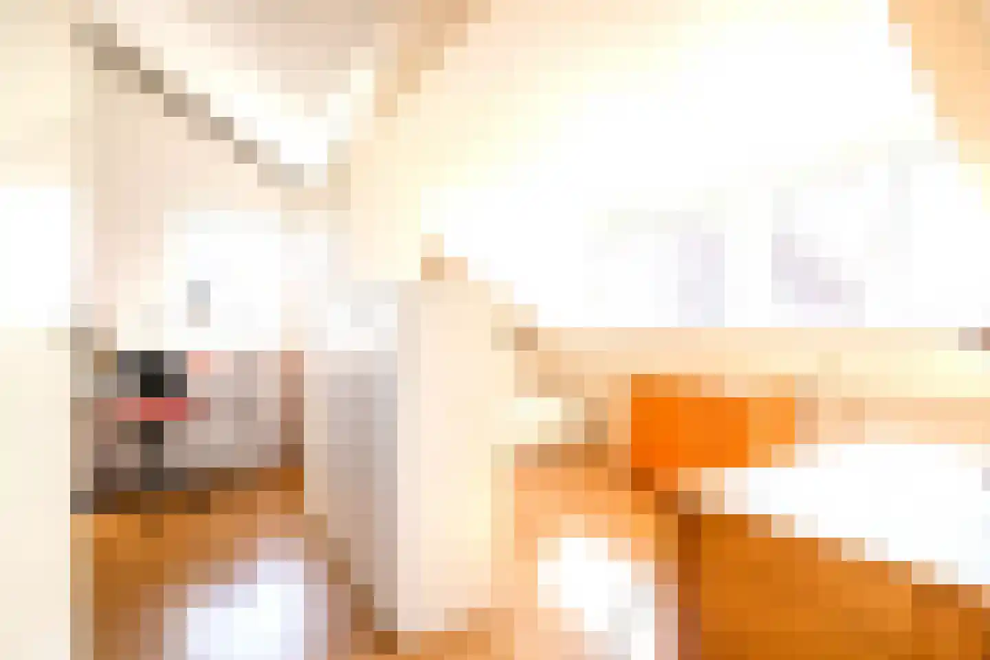 Boterzwin 4523 Julianadorp thumbnail 31