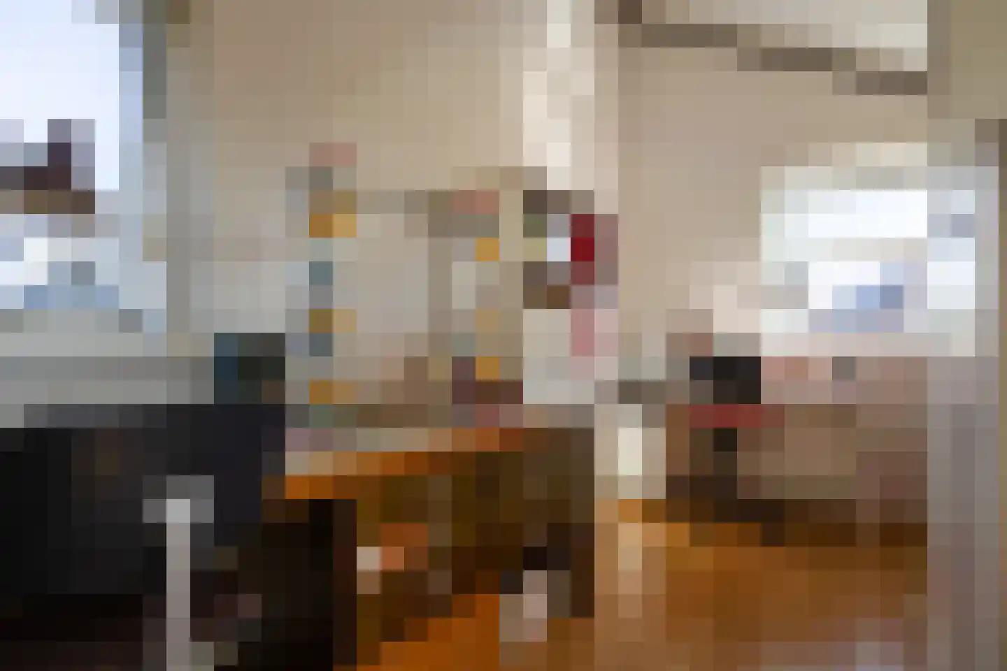 Boterzwin 4523 Julianadorp thumbnail 12