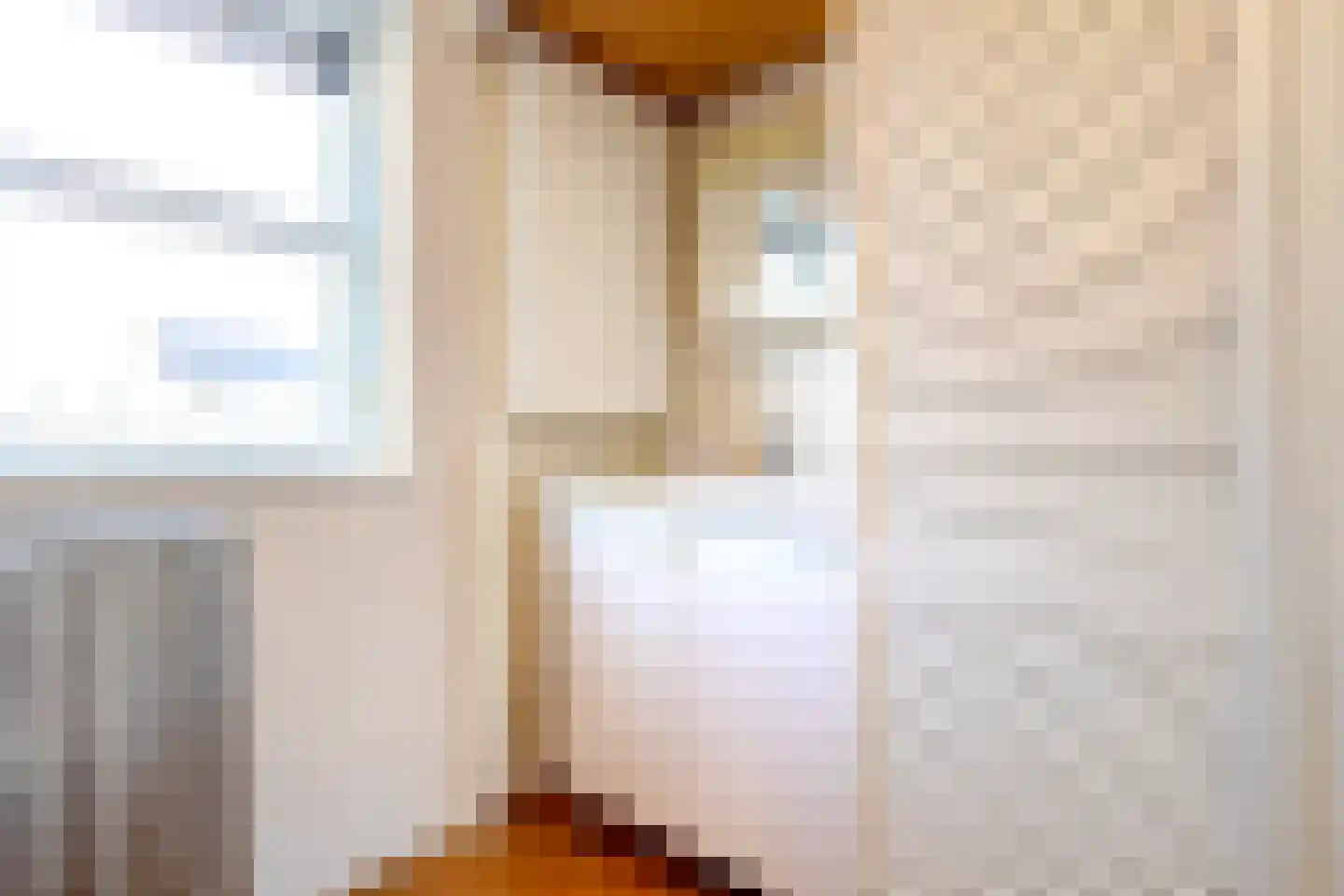 Boterzwin 4523 Julianadorp thumbnail 32