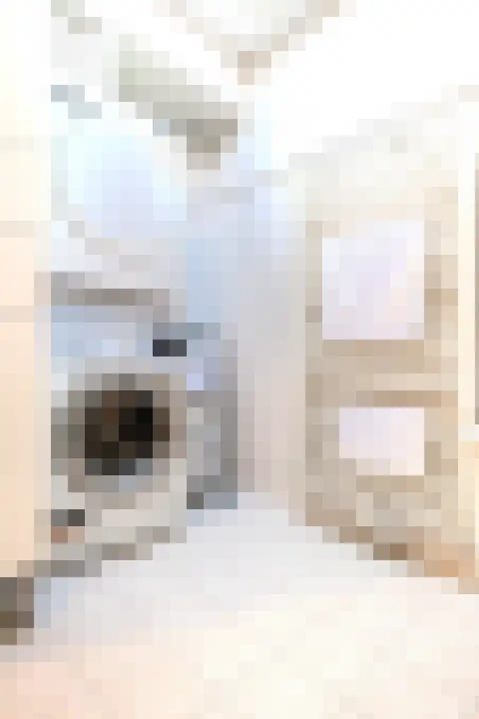 Boterzwin 4523 Julianadorp thumbnail 33