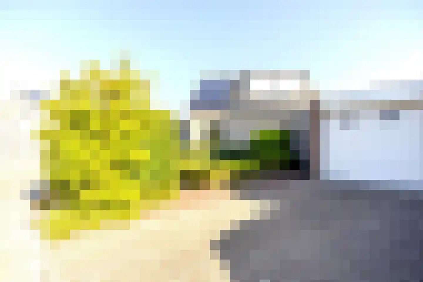 Boterzwin 4523 Julianadorp thumbnail 35