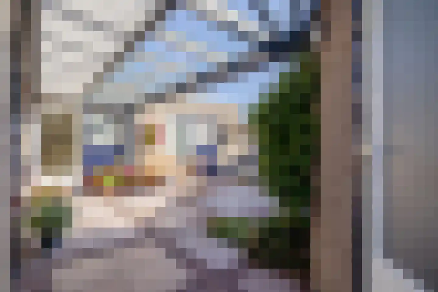 Boterzwin 4523 Julianadorp thumbnail 13