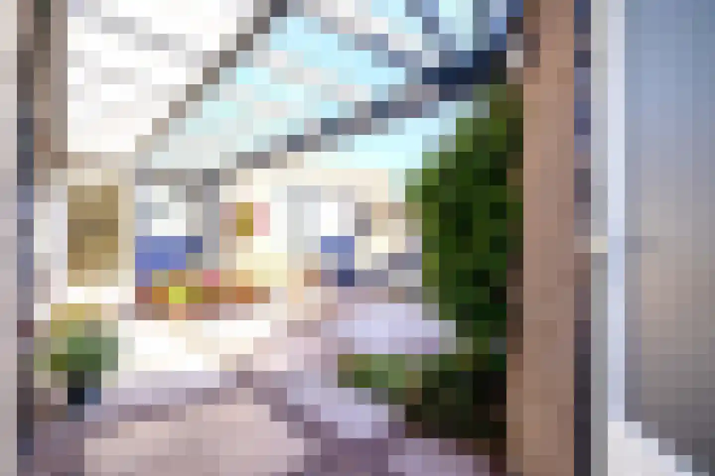 Boterzwin 4523 Julianadorp thumbnail 40