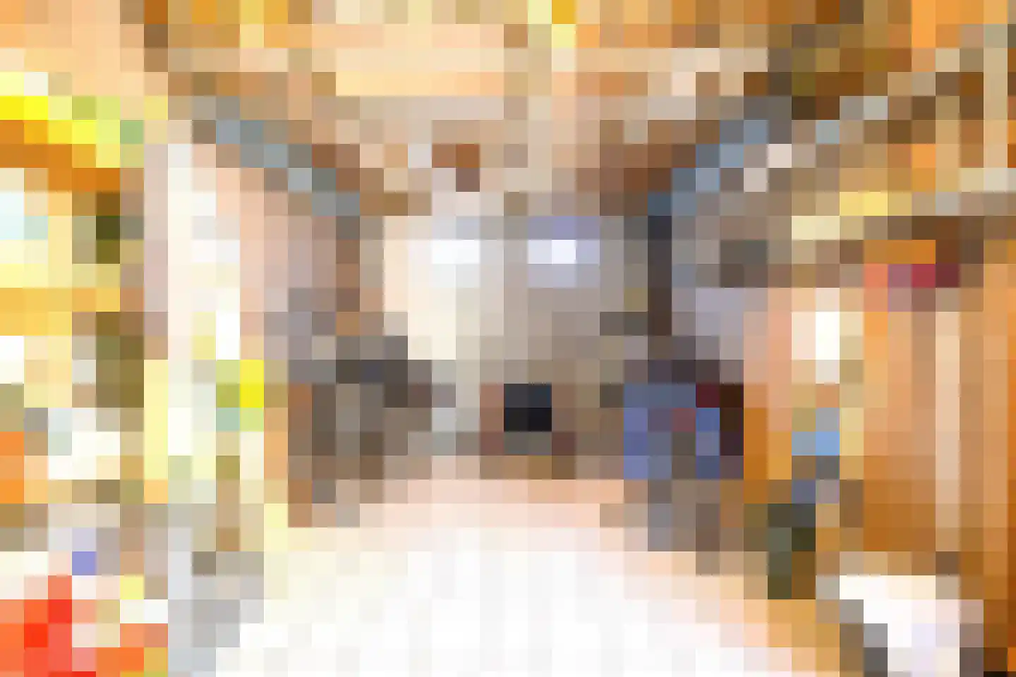 Boterzwin 4523 Julianadorp thumbnail 44