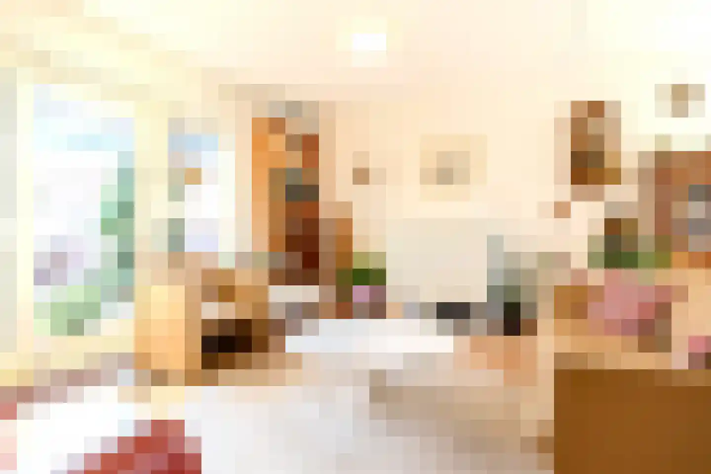 Boterzwin 4523 Julianadorp thumbnail 9