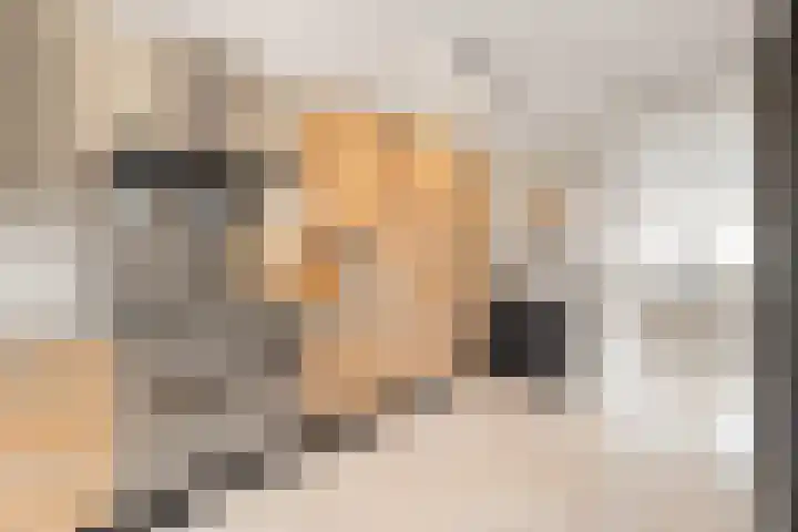 Boterzwin 4524 Julianadorp thumbnail 10