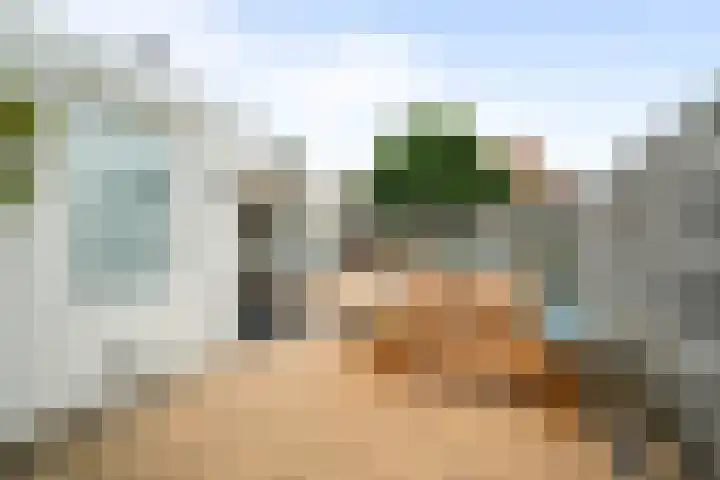 Boterzwin 4524 Julianadorp thumbnail 13