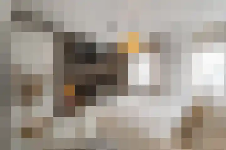Boterzwin 4524 Julianadorp thumbnail 16