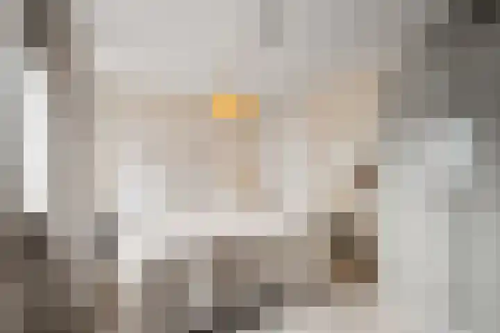 Boterzwin 4524 Julianadorp thumbnail 17