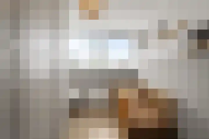 Boterzwin 4524 Julianadorp thumbnail 18