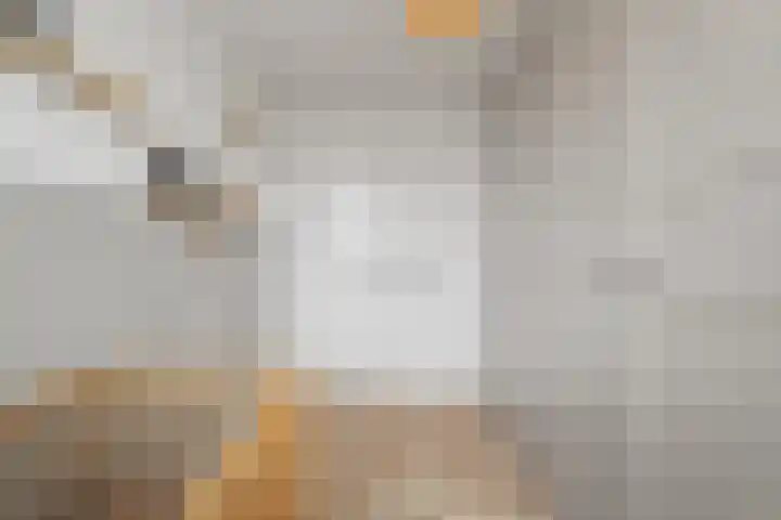 Boterzwin 4524 Julianadorp thumbnail 19