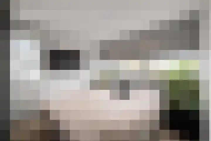 Boterzwin 4524 Julianadorp thumbnail 20