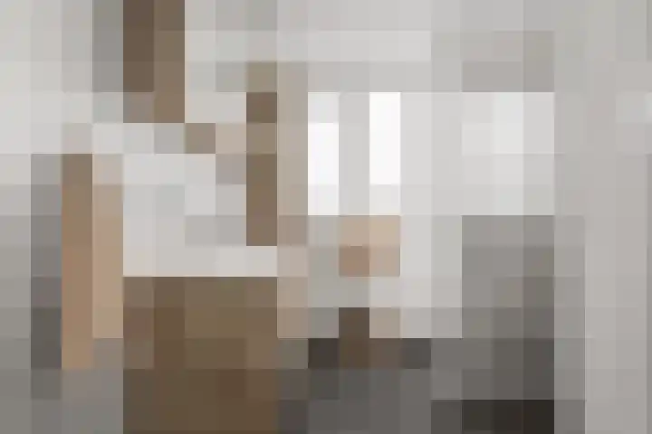 Boterzwin 4524 Julianadorp thumbnail 22