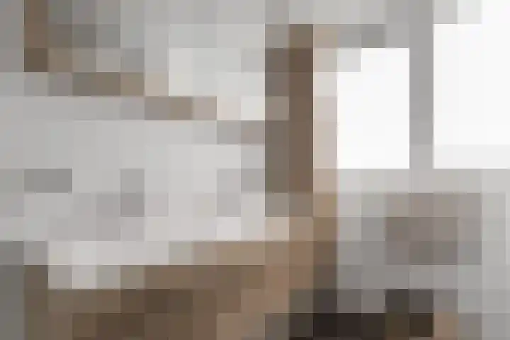 Boterzwin 4524 Julianadorp thumbnail 23