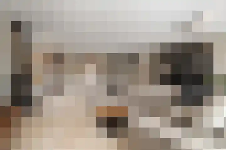 Boterzwin 4524 Julianadorp thumbnail 6
