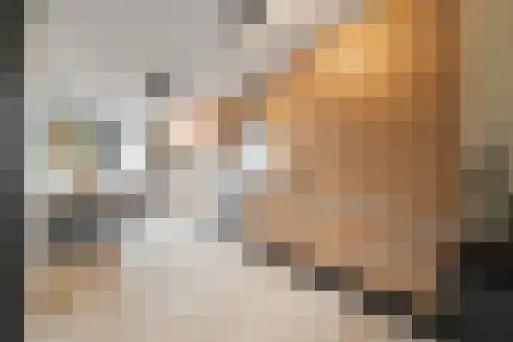 Boterzwin 4524 Julianadorp thumbnail 7