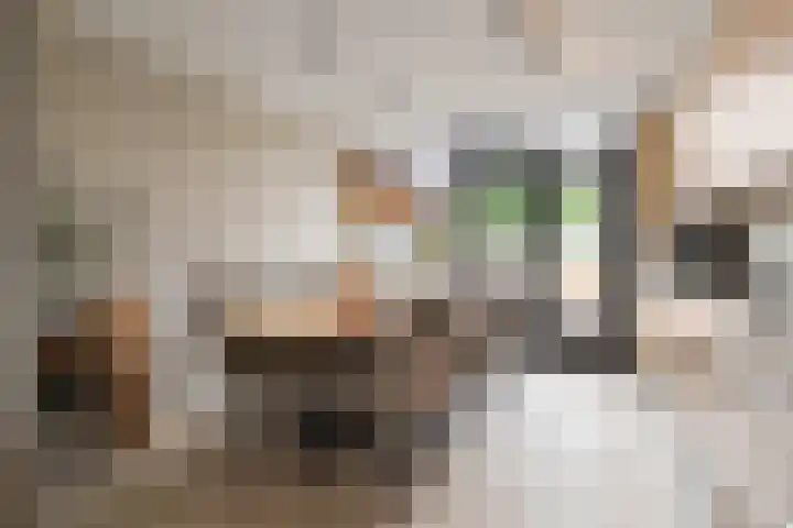 Boterzwin 4524 Julianadorp thumbnail 8