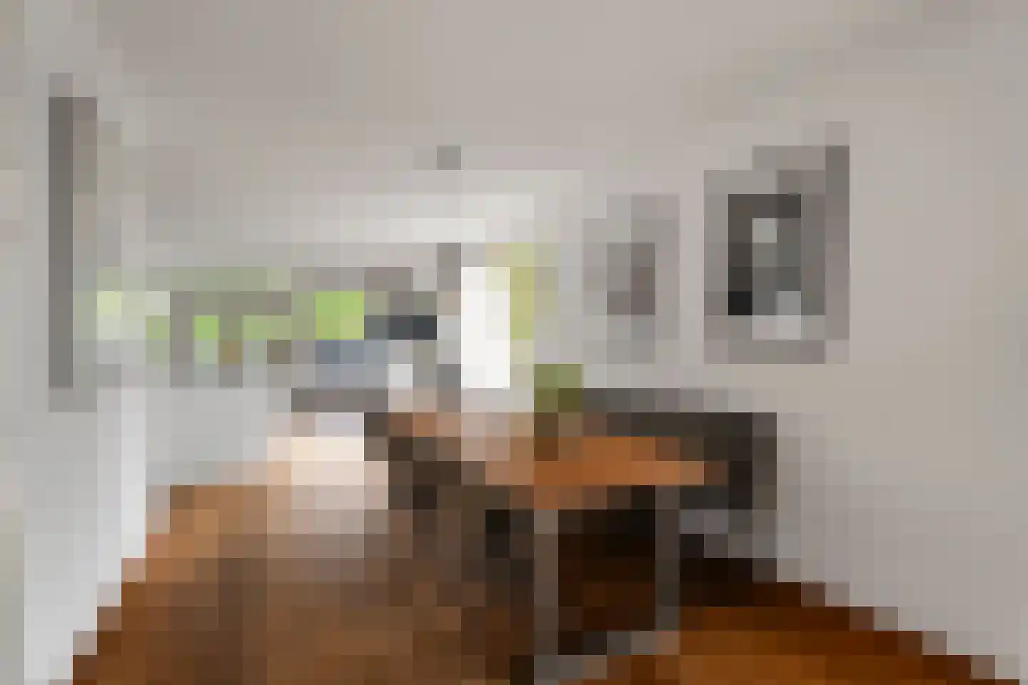 Boterzwin 5113 Julianadorp thumbnail 10