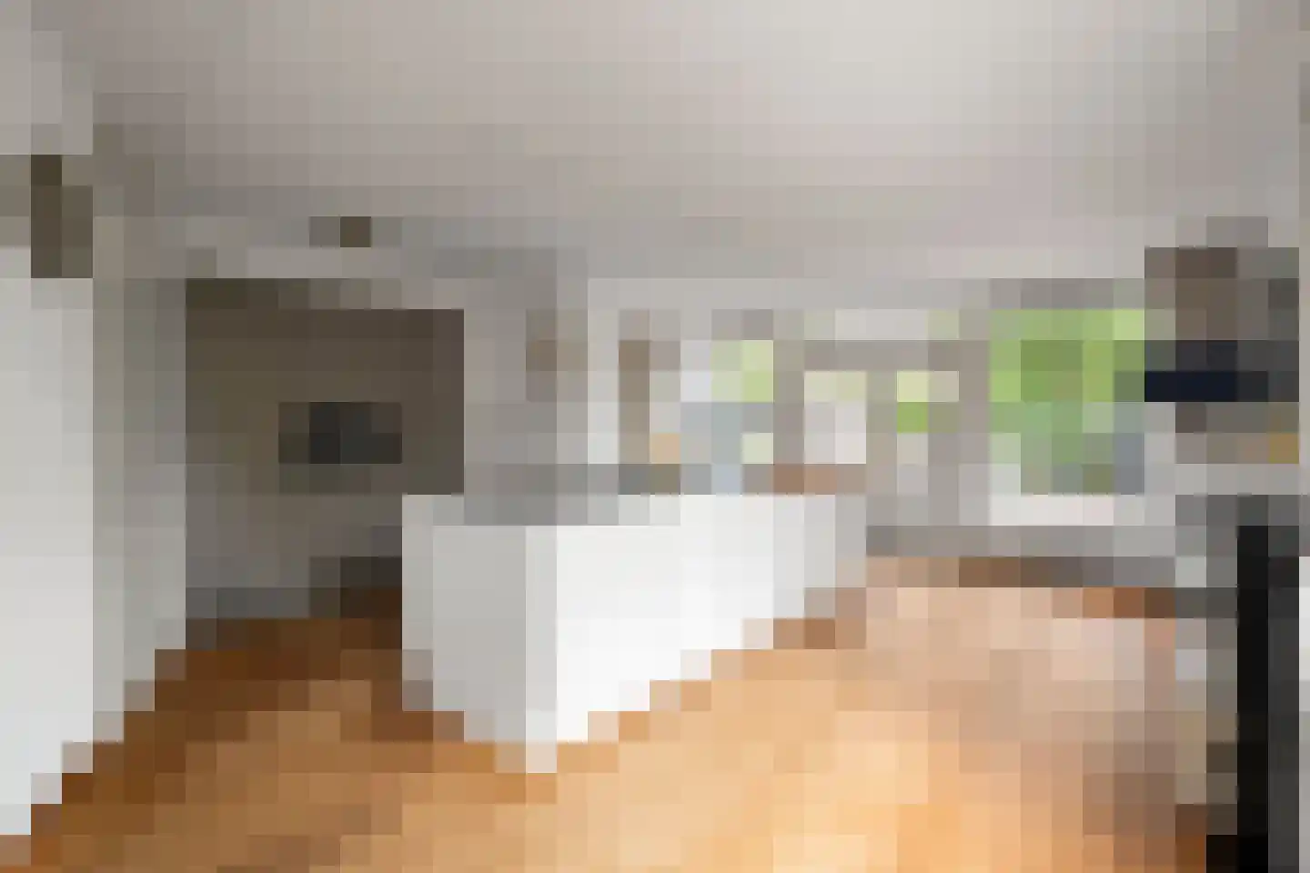 Boterzwin 5113 Julianadorp thumbnail 11