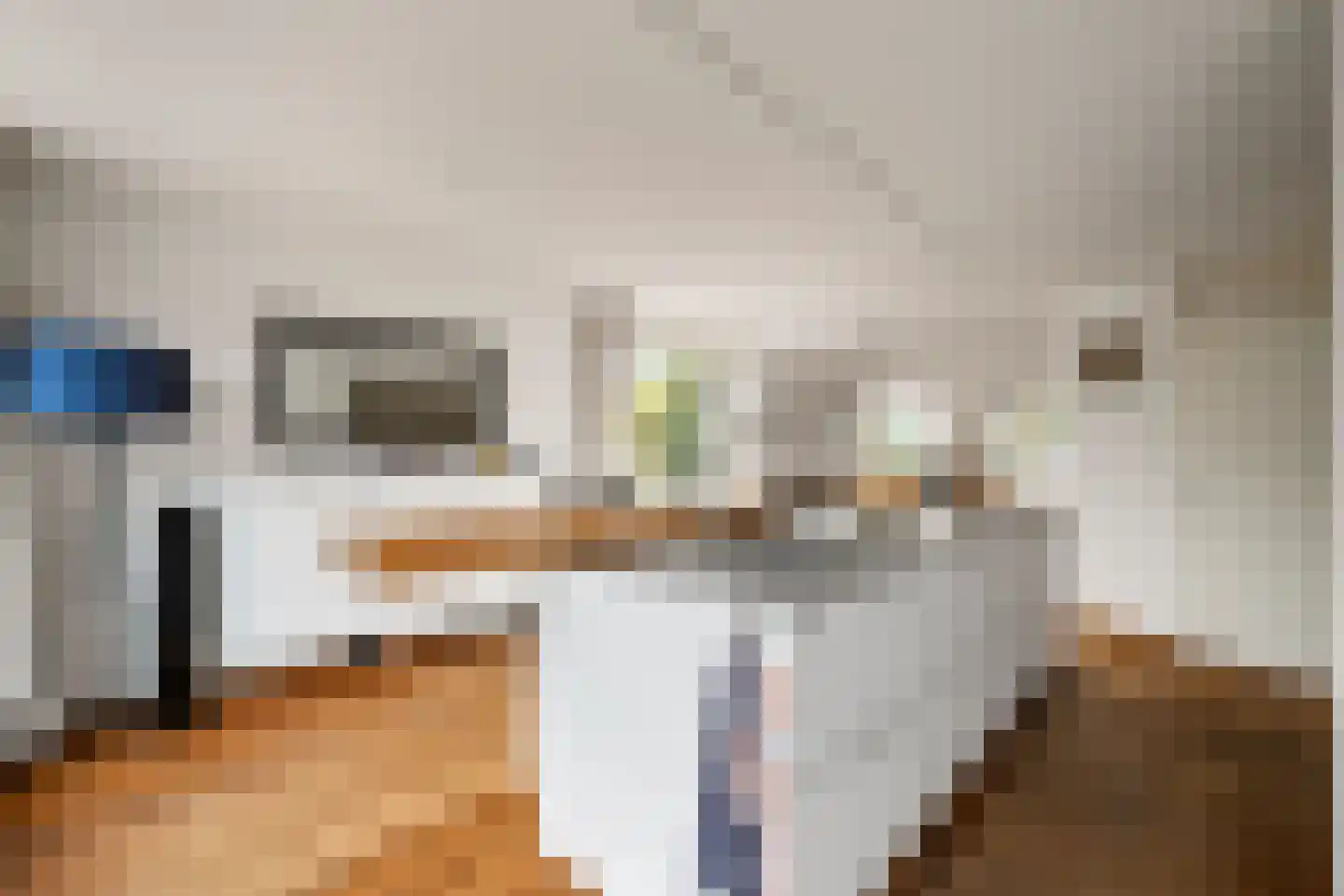 Boterzwin 5113 Julianadorp thumbnail 13