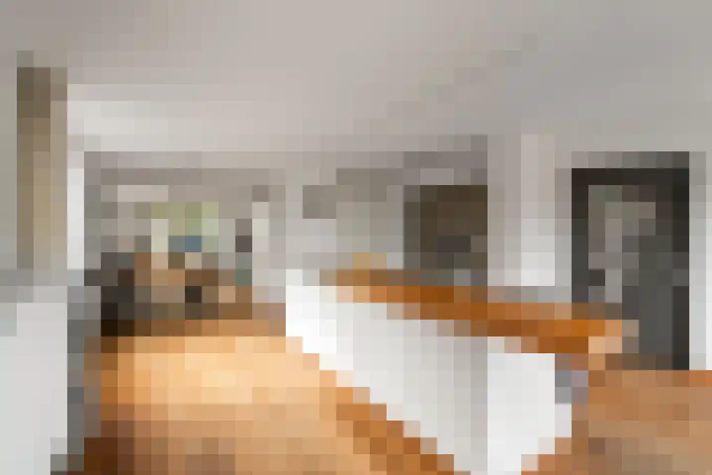 Boterzwin 5113 Julianadorp thumbnail 14
