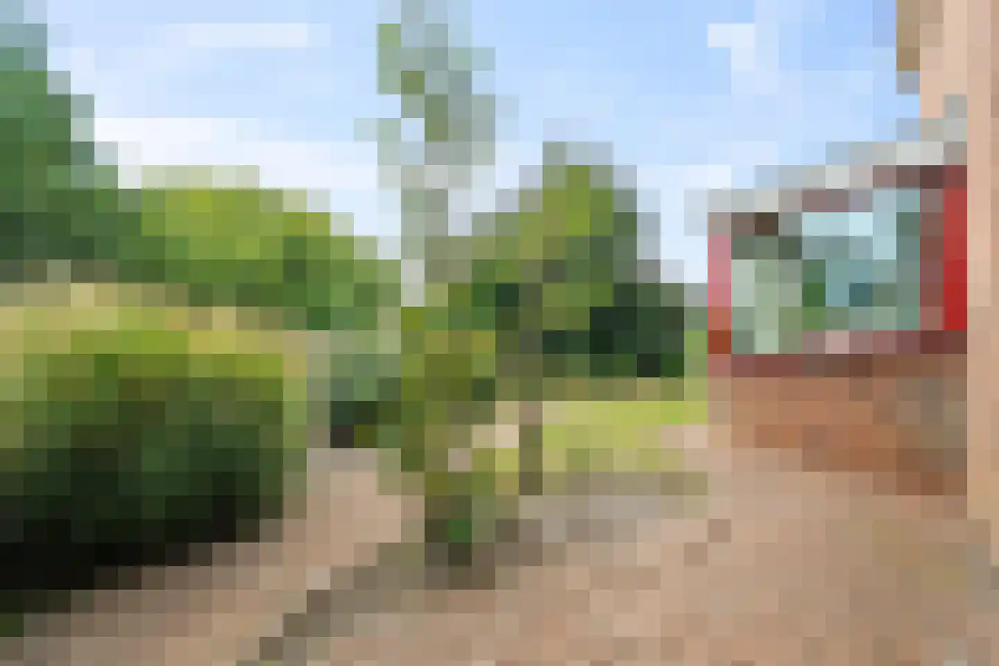 Boterzwin 5113 Julianadorp thumbnail 18