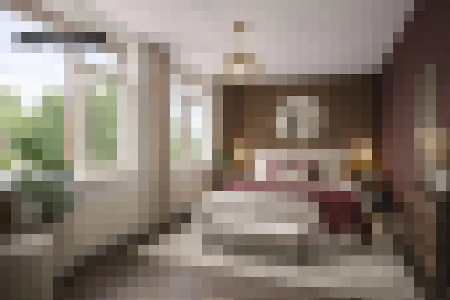 Boterzwin 5113 Julianadorp thumbnail 27