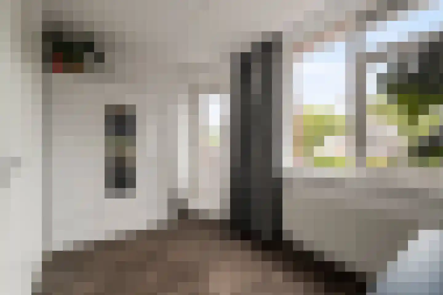 Boterzwin 5113 Julianadorp thumbnail 29
