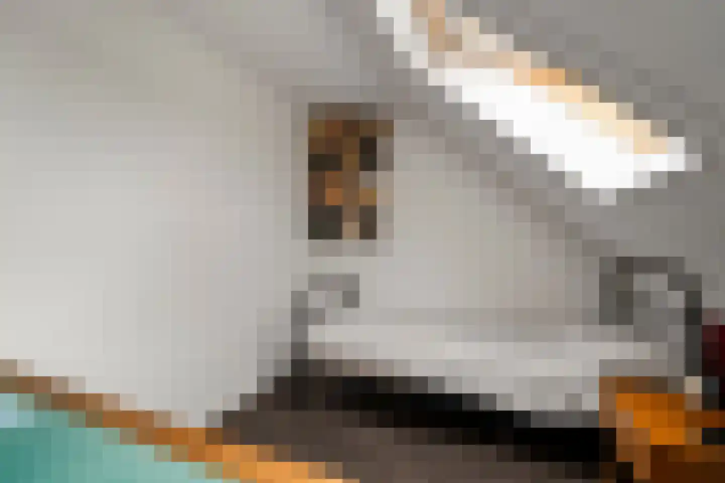 Boterzwin 5113 Julianadorp thumbnail 37