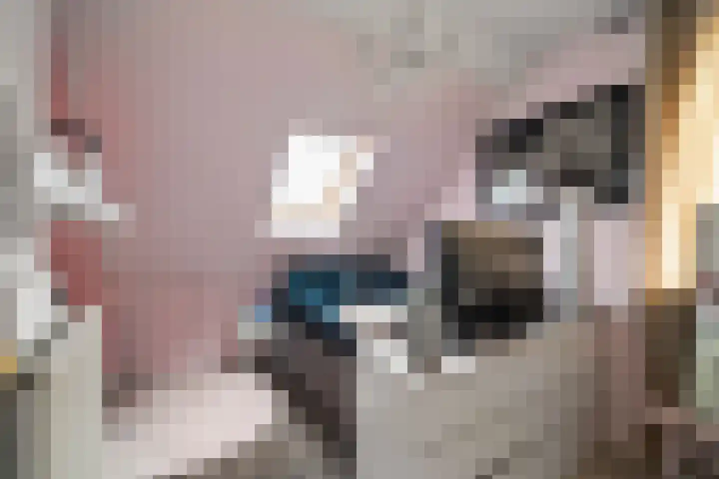 Boterzwin 5113 Julianadorp thumbnail 38
