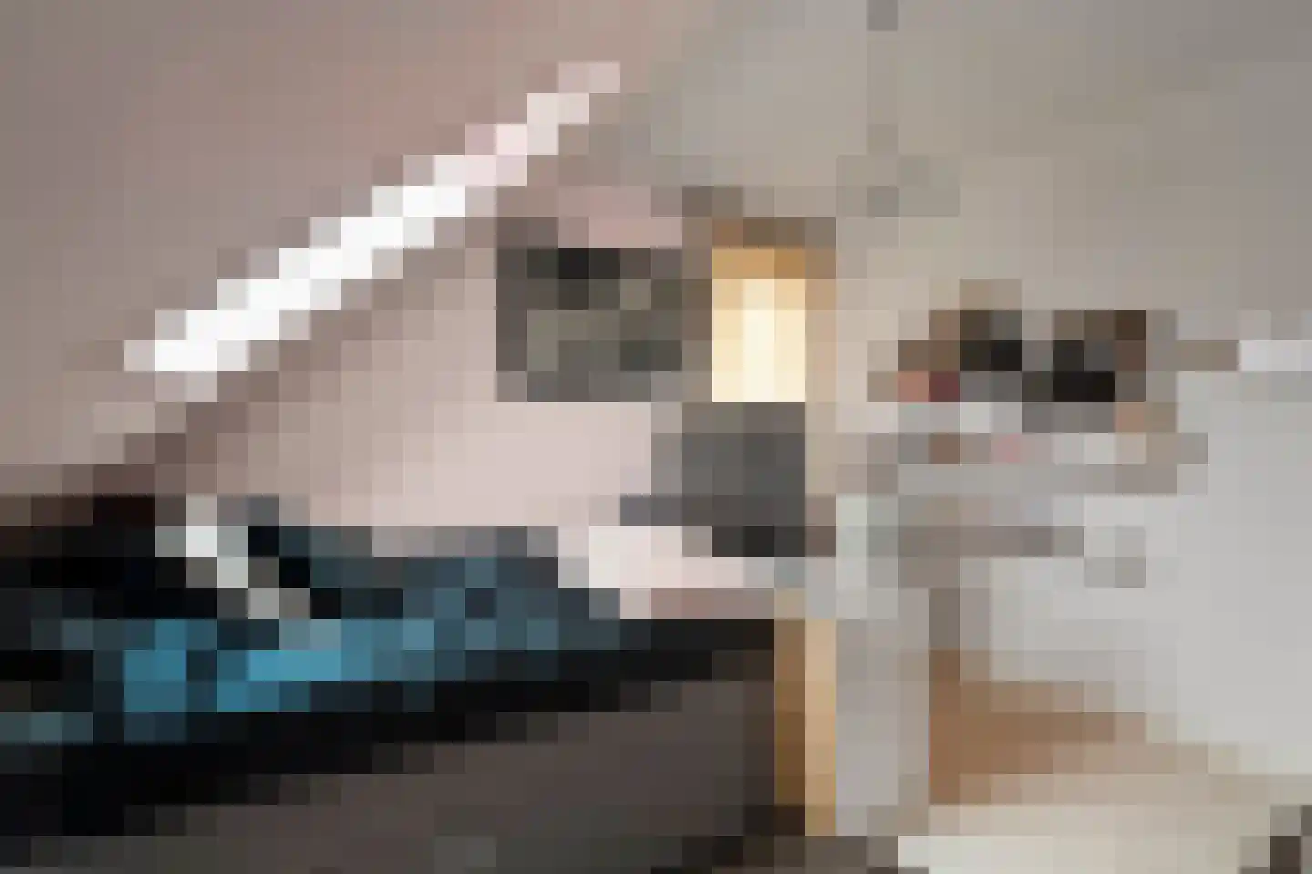 Boterzwin 5113 Julianadorp thumbnail 39