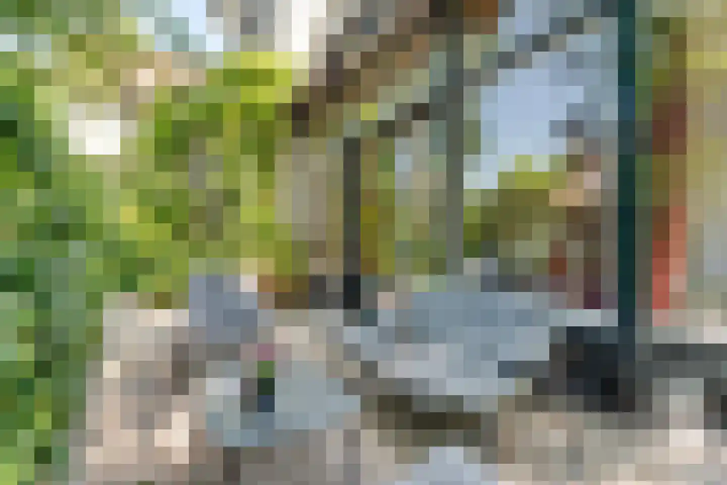 Bothalaan 2 Baarn thumbnail 39