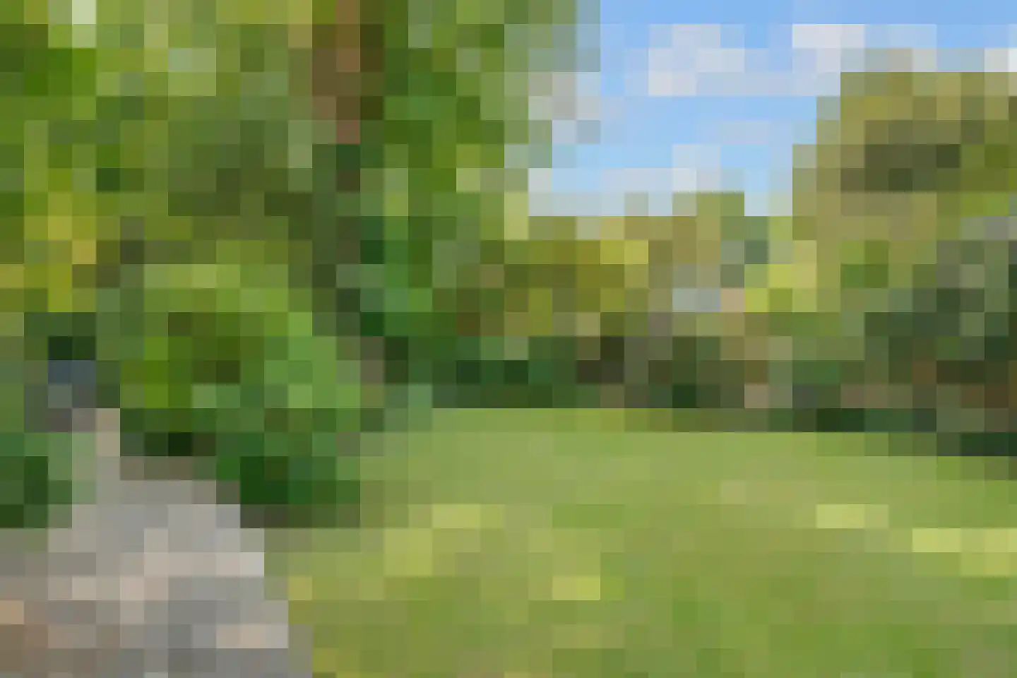 Bothalaan 2 Baarn thumbnail 4