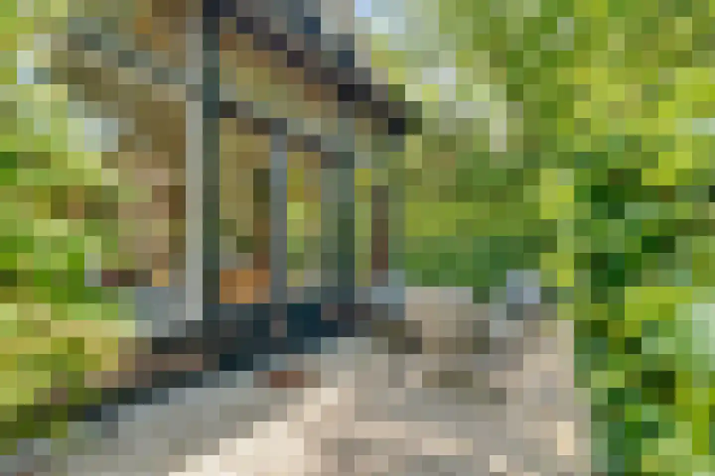 Bothalaan 2 Baarn thumbnail 40