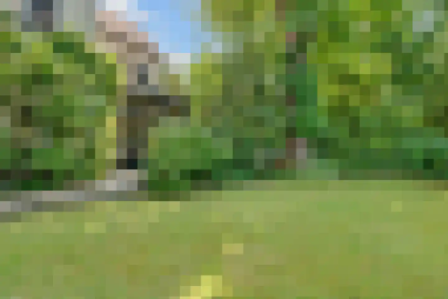 Bothalaan 2 Baarn thumbnail 41