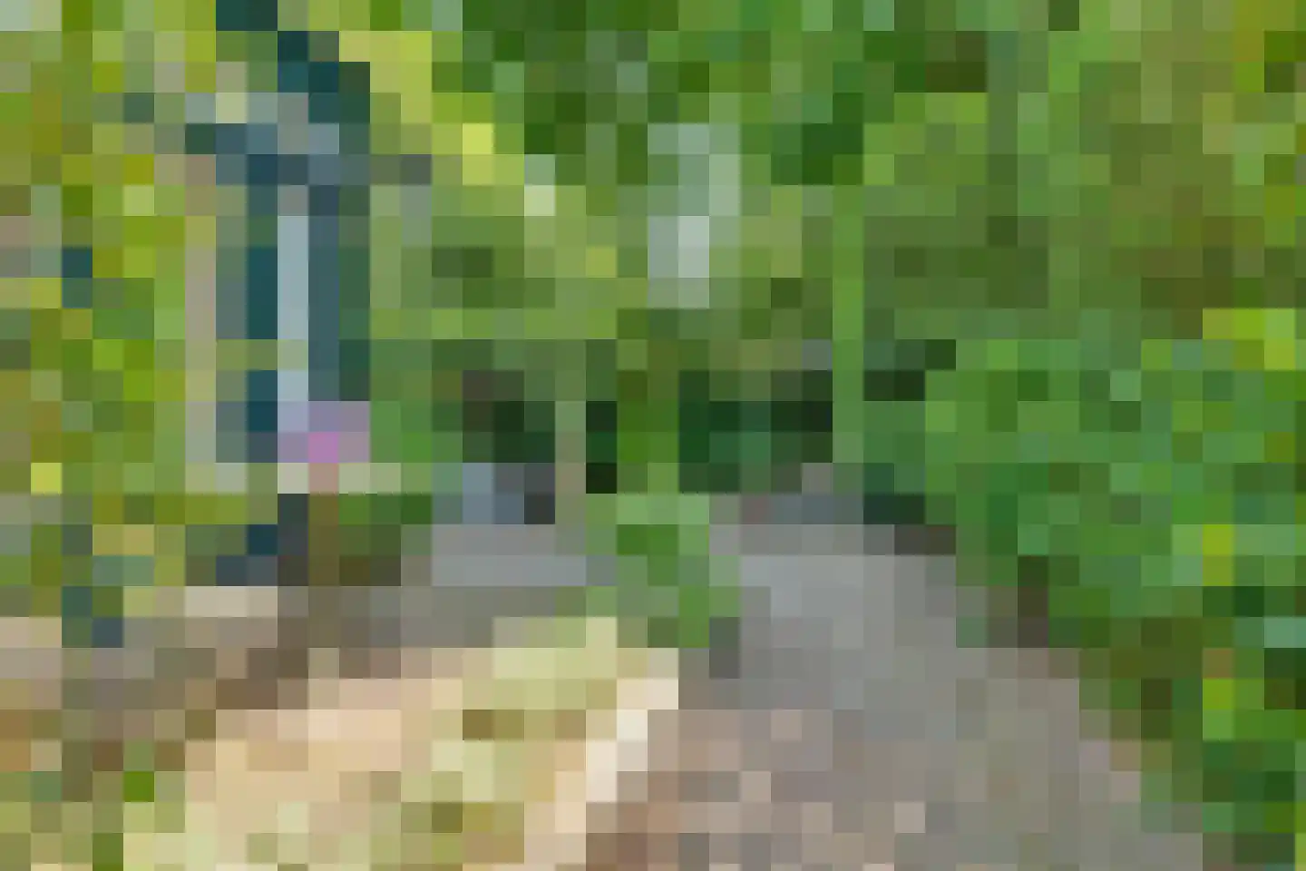 Bothalaan 2 Baarn thumbnail 43