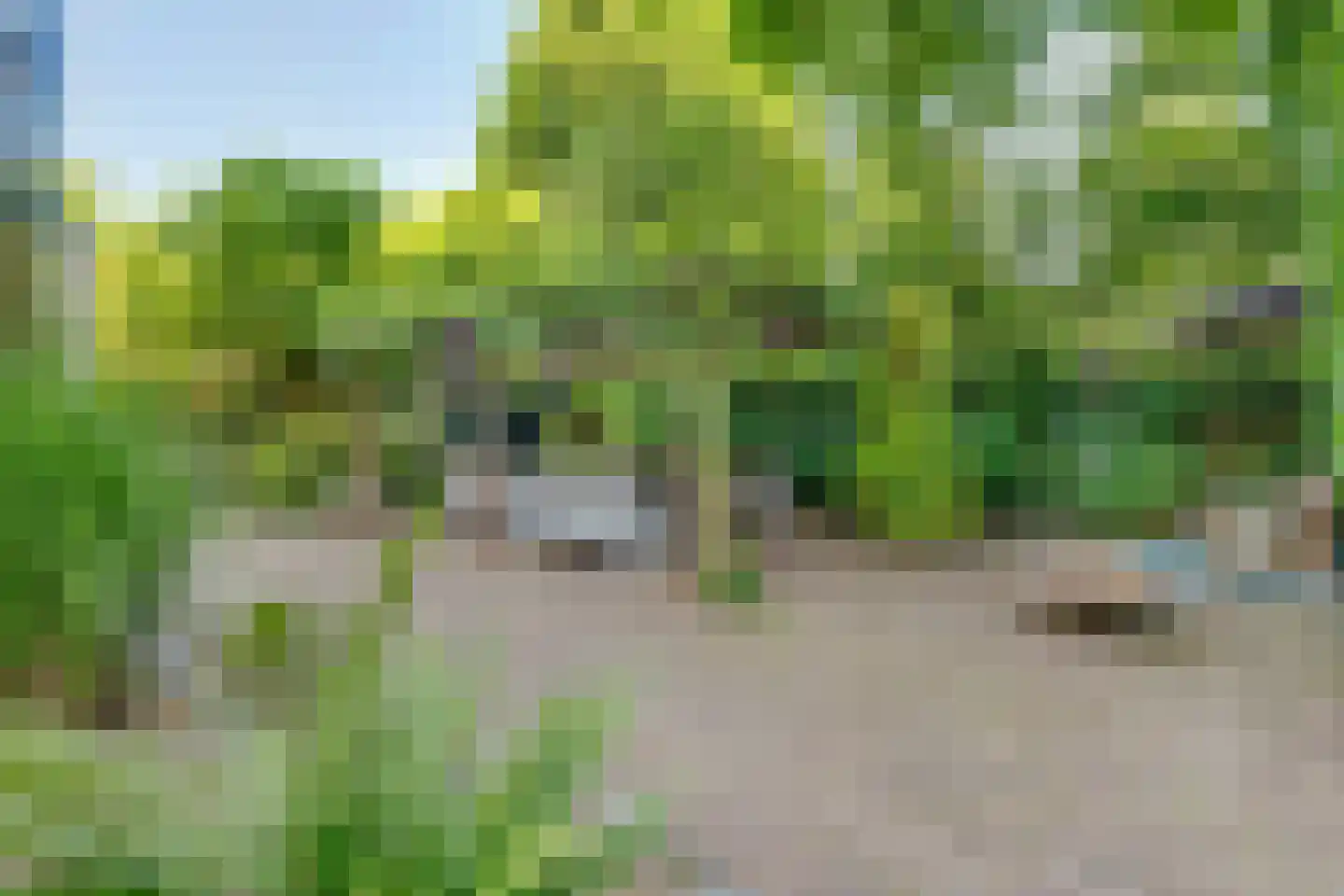 Bothalaan 2 Baarn thumbnail 44