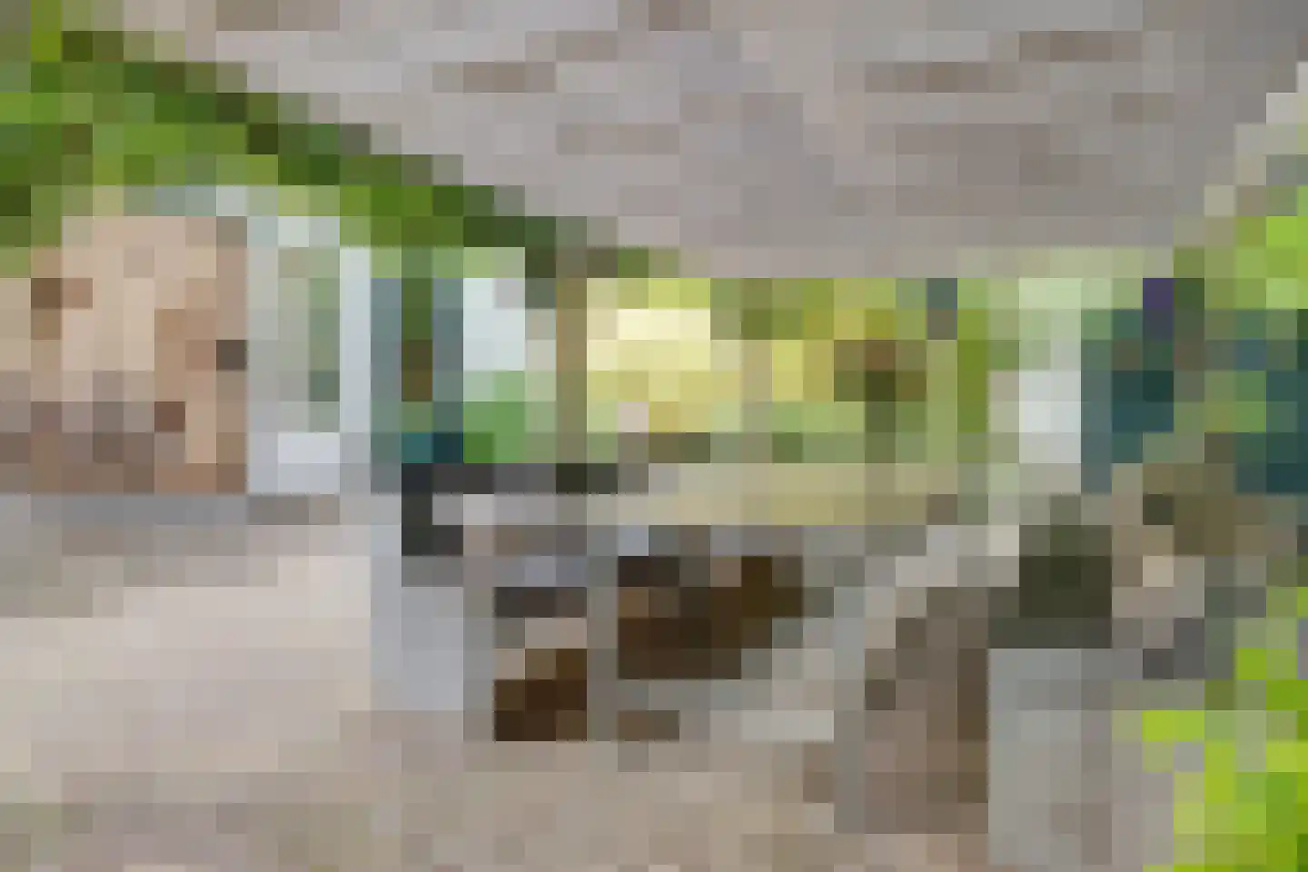 Bothalaan 2 Baarn thumbnail 45