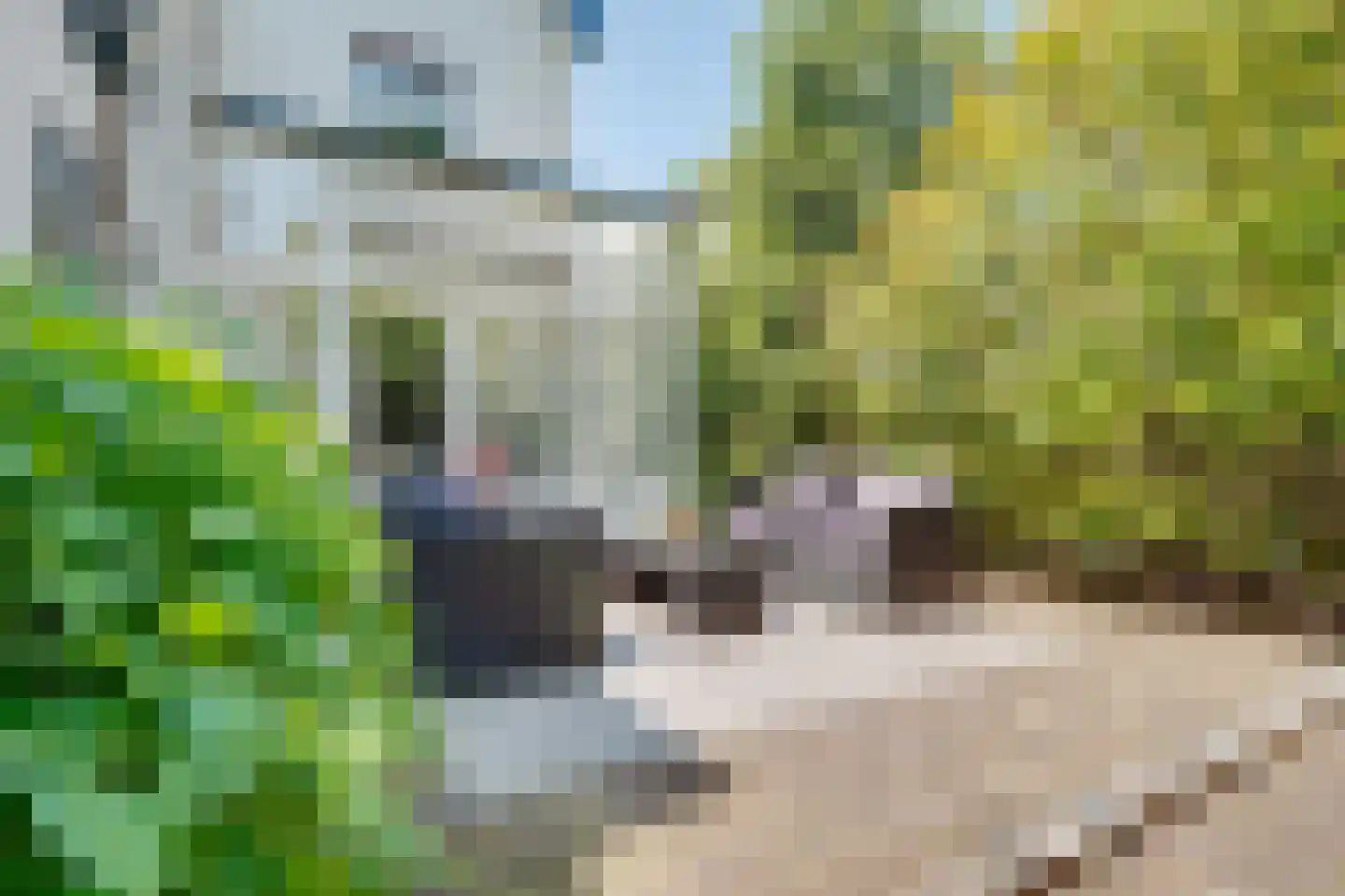 Bothalaan 2 Baarn thumbnail 46