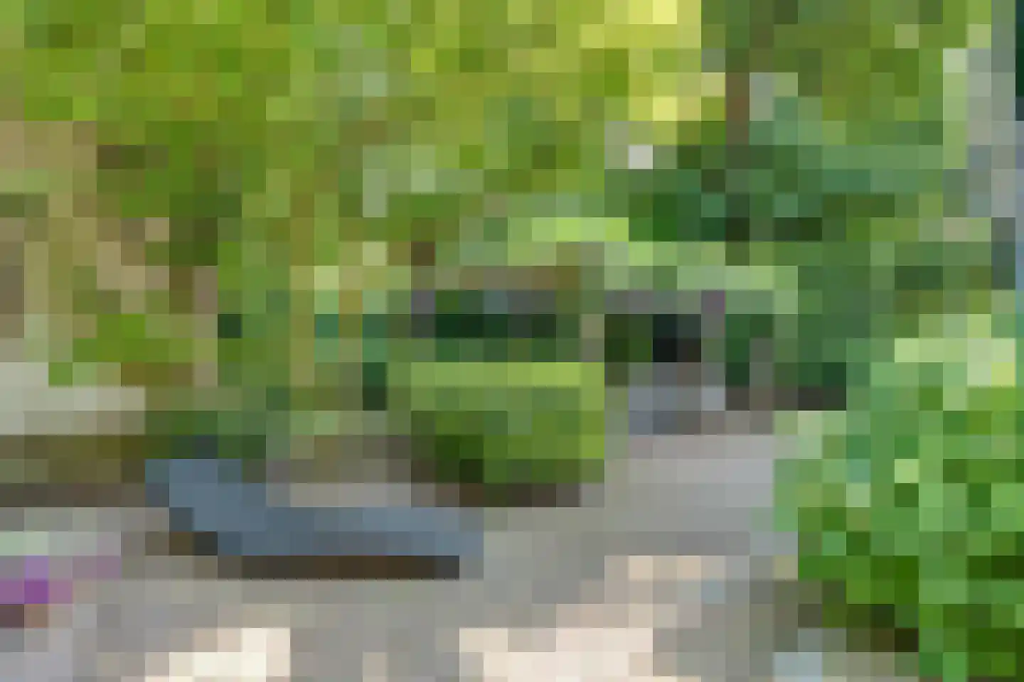 Bothalaan 2 Baarn thumbnail 47