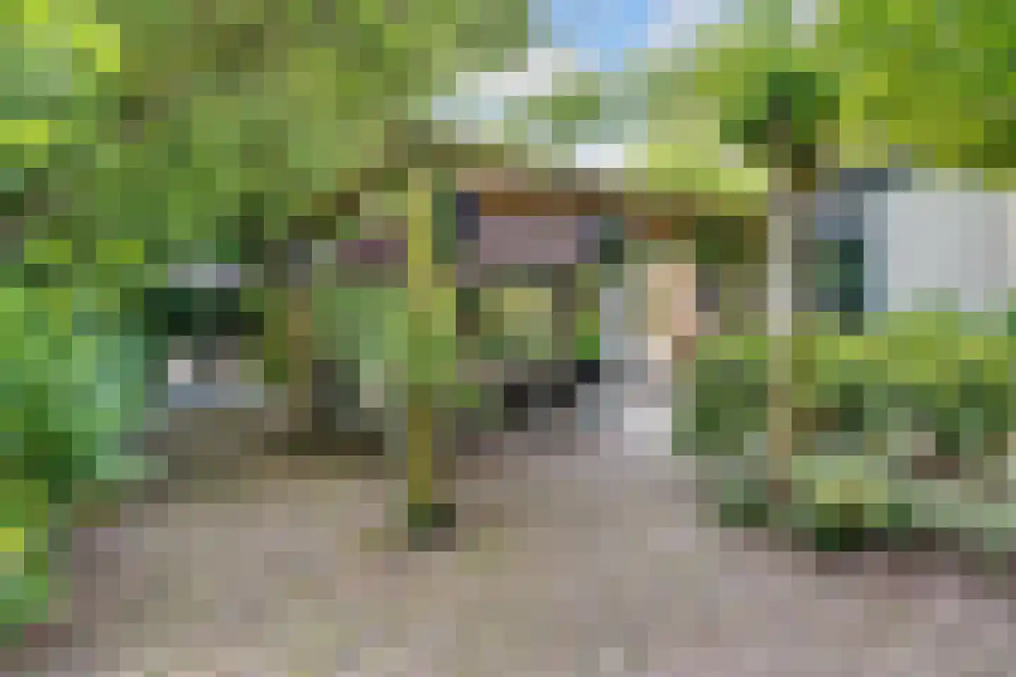 Bothalaan 2 Baarn thumbnail 49