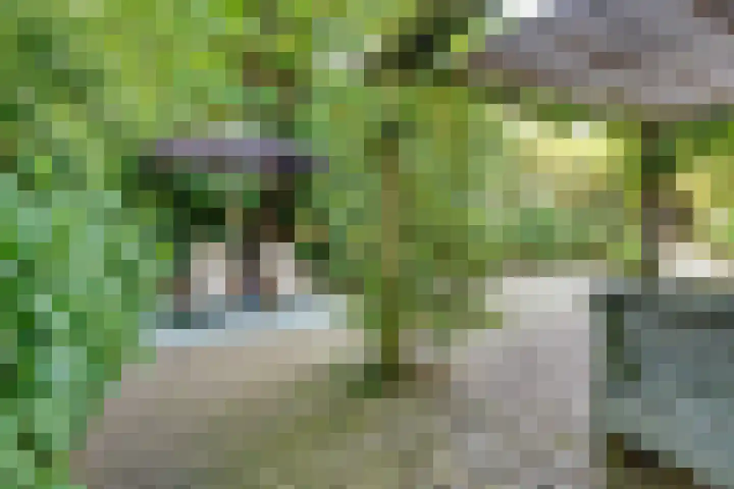 Bothalaan 2 Baarn thumbnail 50