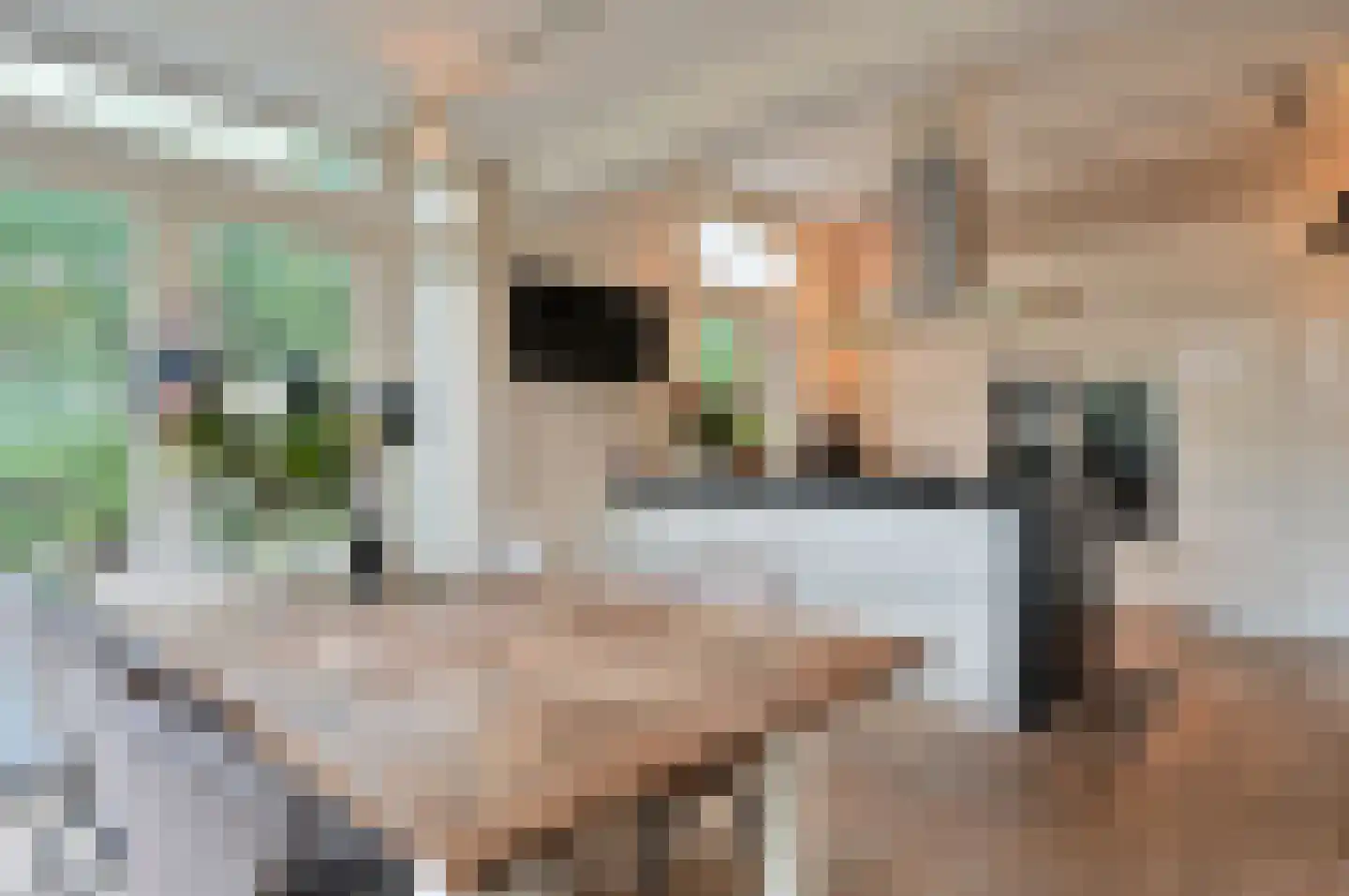 Bothalaan 2 Baarn thumbnail 6