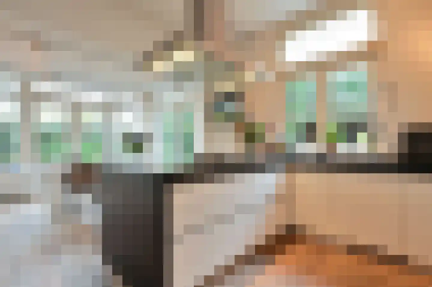 Bothalaan 2 Baarn thumbnail 7