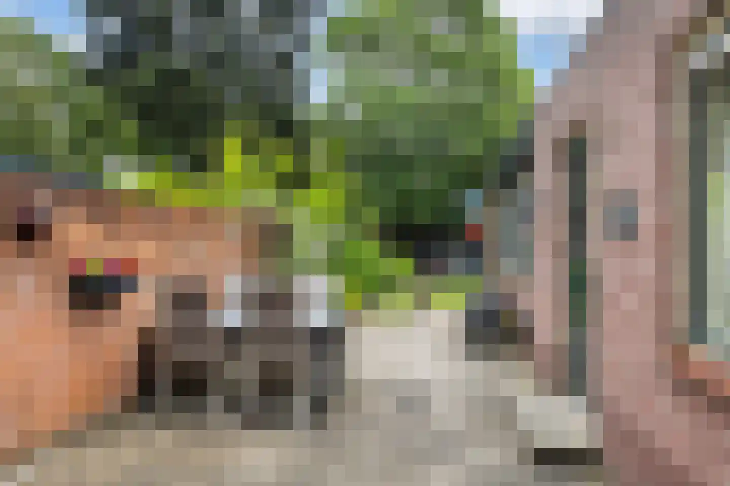 Bothalaan 96 Zeist thumbnail 14