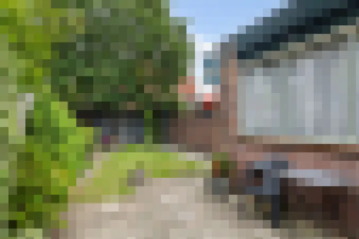 Bothalaan 96 Zeist thumbnail 16