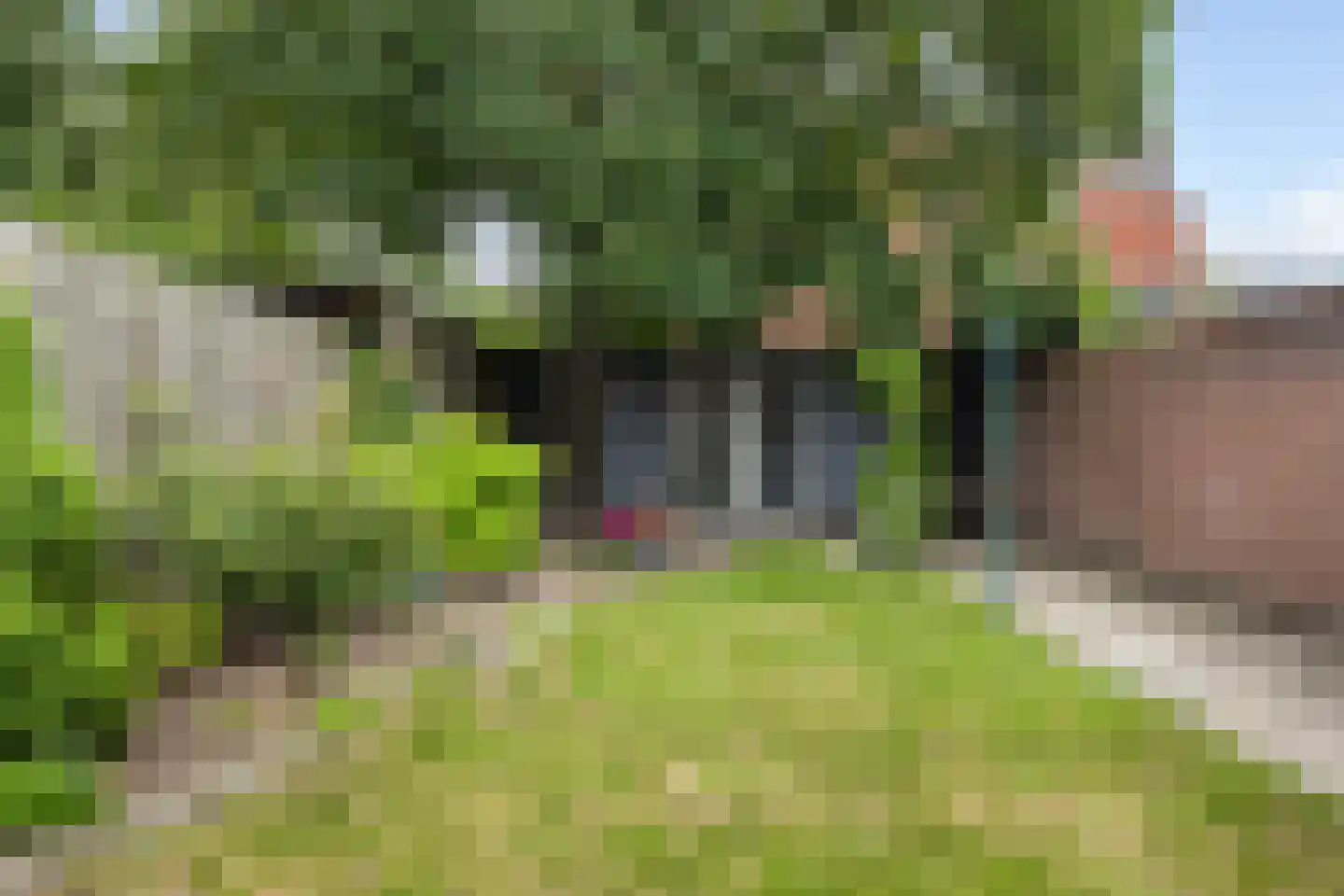 Bothalaan 96 Zeist thumbnail 17