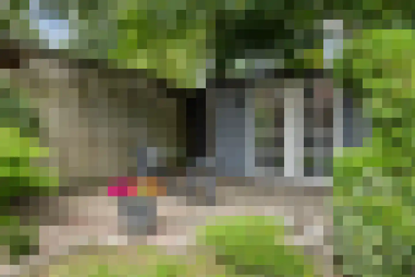 Bothalaan 96 Zeist thumbnail 18